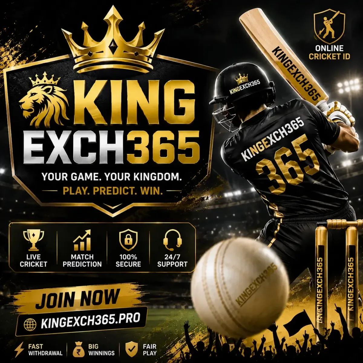 Kingexch365.com-id-Provider-services